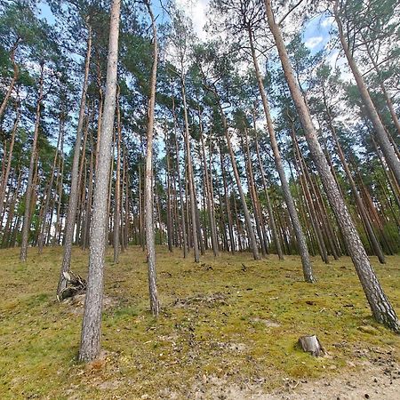 Lesna Ostoja W Centrum Puszczy Nadnoteckiej Otoczona 3 Jeziorami Miedzychod ภายนอก รูปภาพ