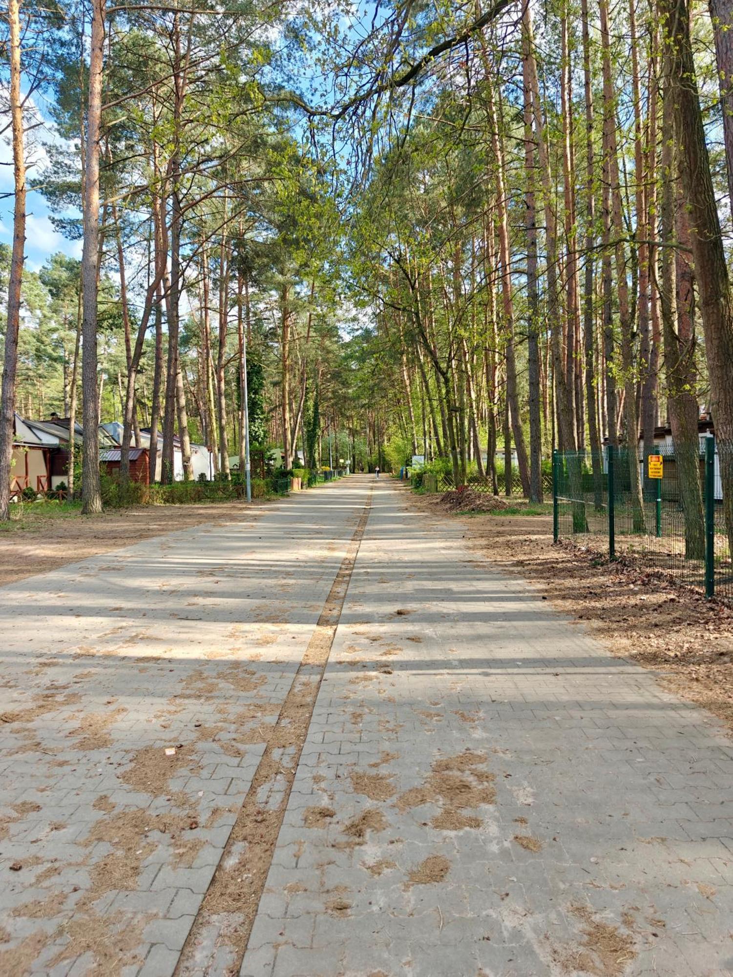 Lesna Ostoja W Centrum Puszczy Nadnoteckiej Otoczona 3 Jeziorami Miedzychod ภายนอก รูปภาพ